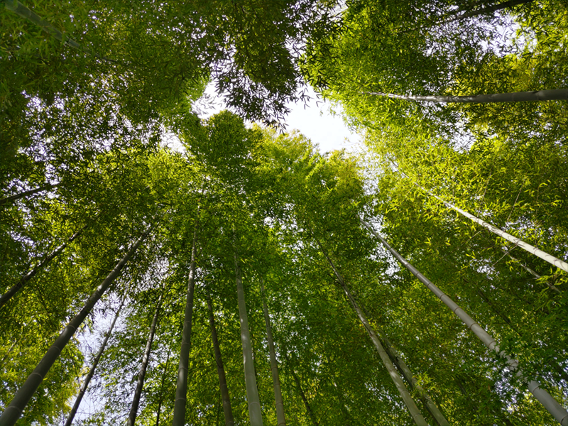 風景写真